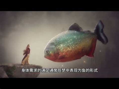 夢到水裡有魚|魚